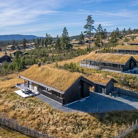 Modern With A Mountain View